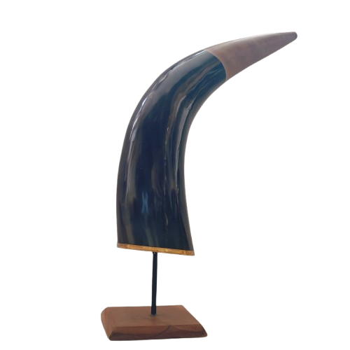 Buffalo 15 inch Long Natual Horn Decorative Showpiece Best for Home Decor